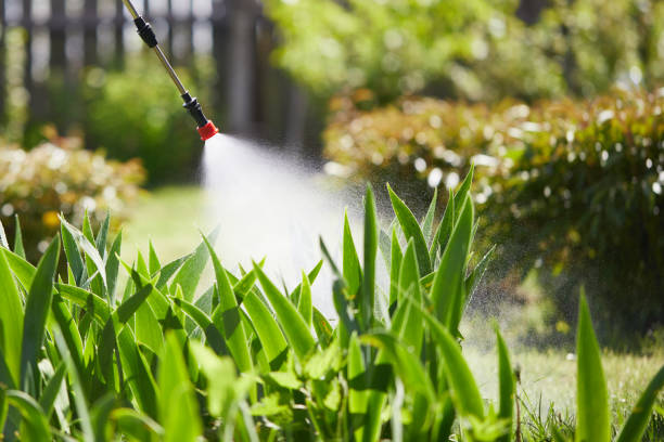 24/7 Emergency Mosquito Control experts in Manteno, IL
