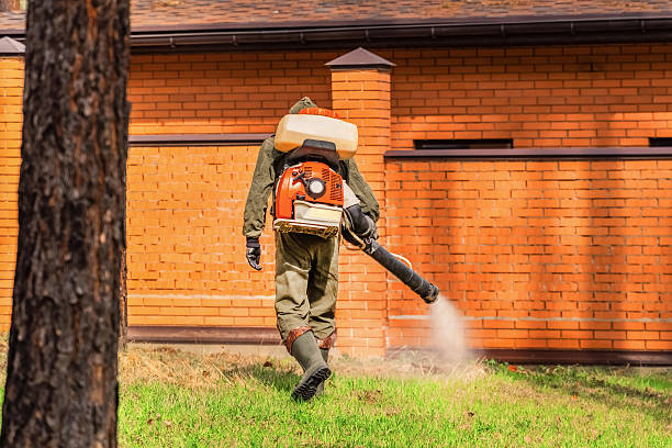 Top rated local Mosquito Control specialists in Manteno, IL